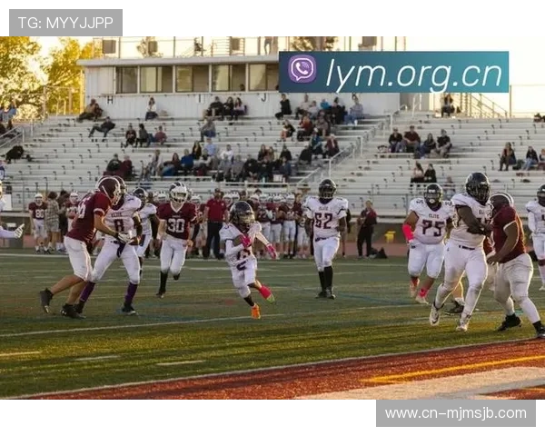 世界杯决赛直播入口免费在线观看最新官方平台推荐，确保高清流畅不卡顿