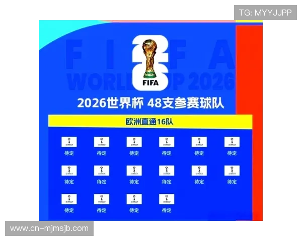 2026年世界杯非洲预选赛最新赛程安排与重要比赛时间全解析