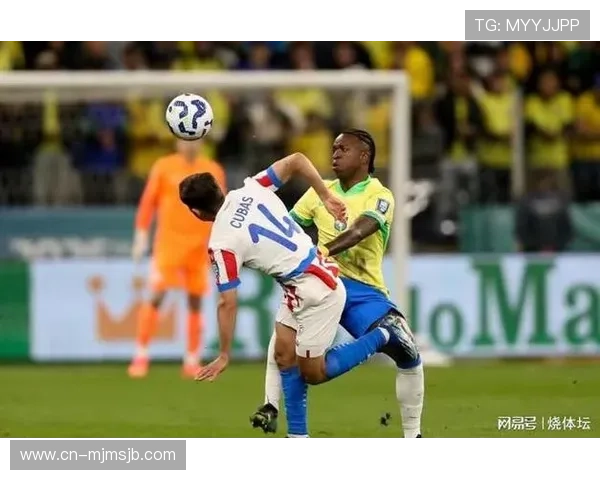 2026年南美洲世界杯预选赛积分榜实时追踪，揭示各队积分变化背后的原因